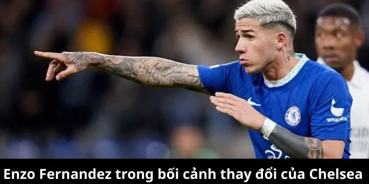 Tiền vệ trẻ Fermandez trong môi trường biến động của Chelsea